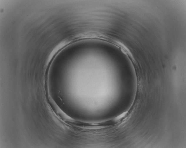 X0000070881146200606231336