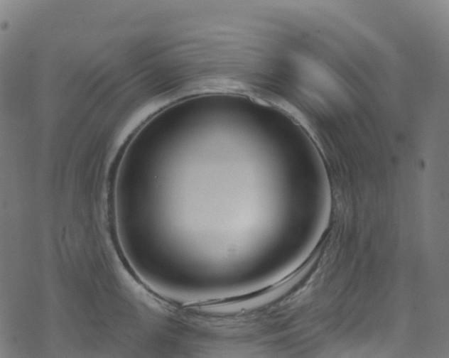 X0000070881147200606231336