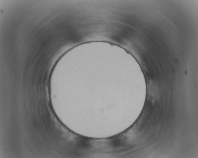 X0000070881150200606231336