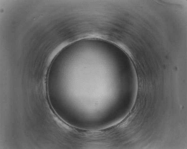 X0000070881151200606231336