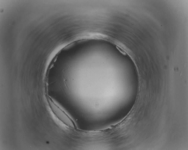 X0000070881152200606231336