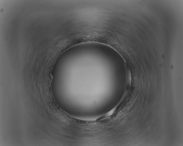 X0000070881153200606231336