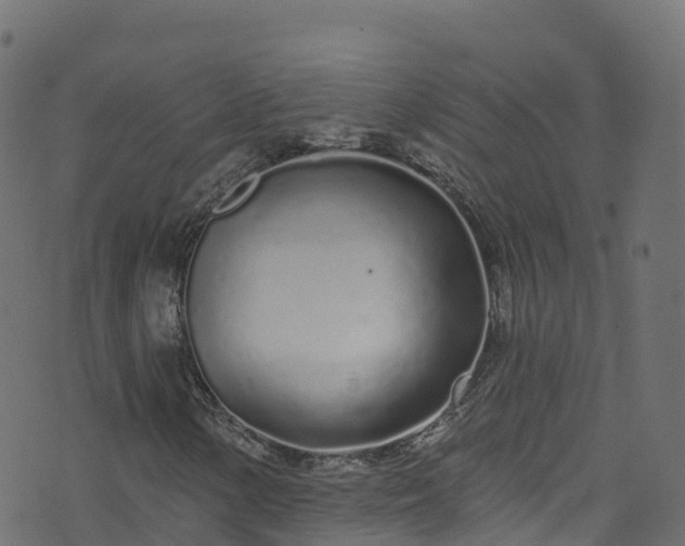 X0000070881154200606231336