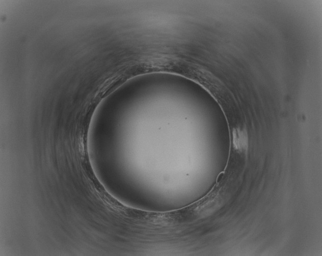 X0000070881155200606231336