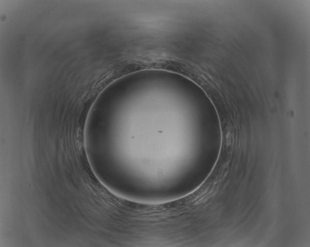 X0000070881156200606231336