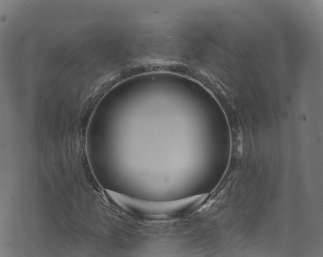 X0000070881157200606231335