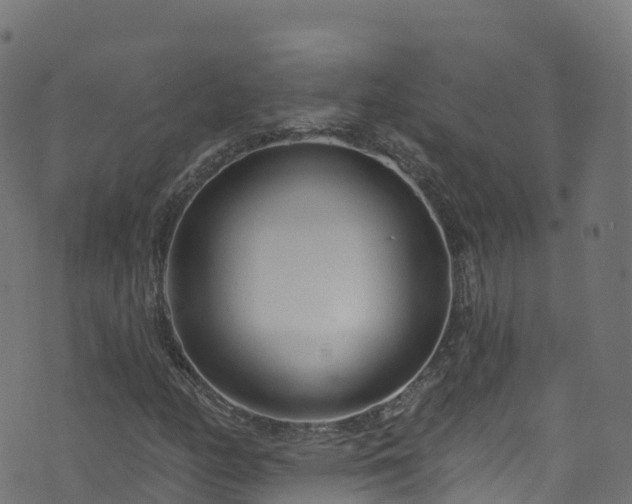 X0000070881158200606231335