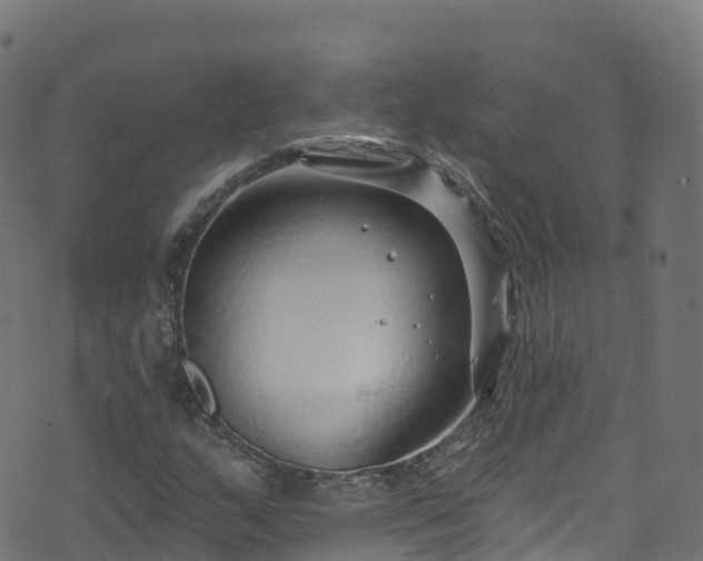 X0000070881159200606231335