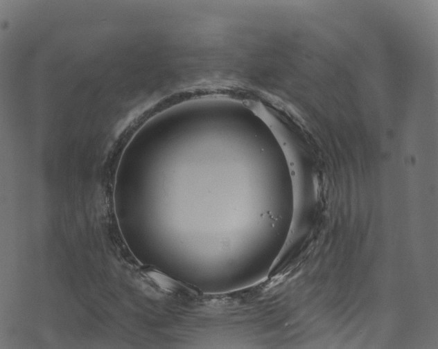 X0000070881160200606231335