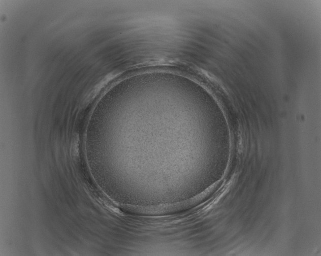 X0000070881161200606231335