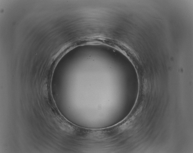 X0000070881162200606231335