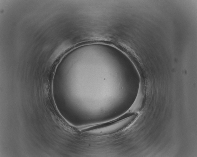 X0000070881163200606231335