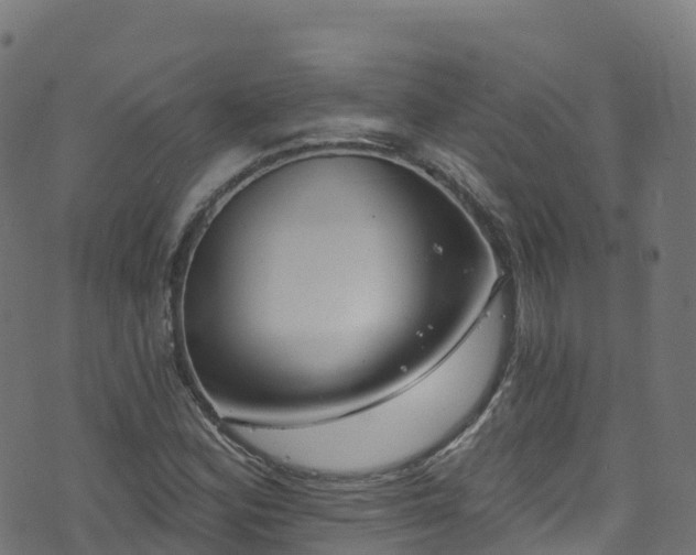 X0000070881164200606231335