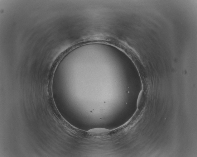 X0000070881166200606231335