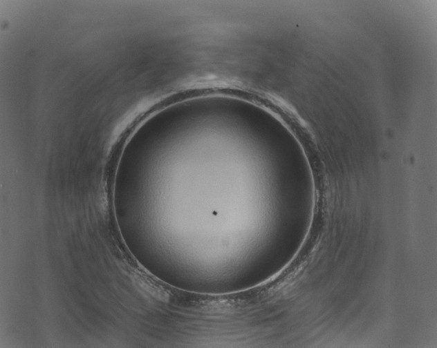 X0000070881167200606231335