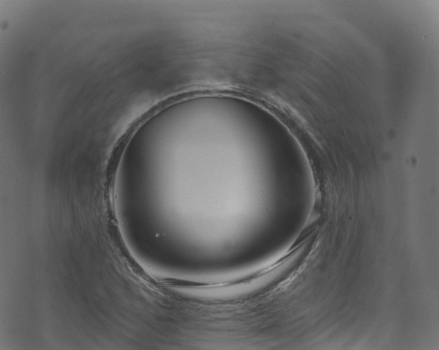 X0000070881168200606231335