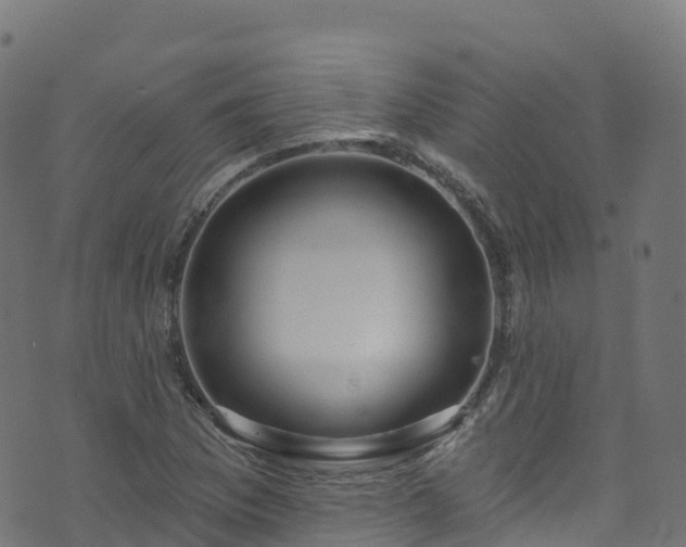 X0000070881169200606231335