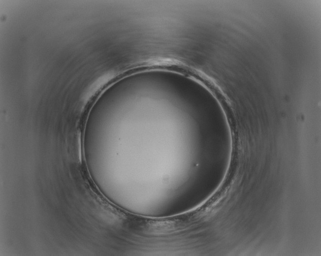 X0000070881171200606231335