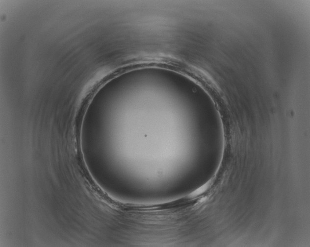 X0000070881172200606231335