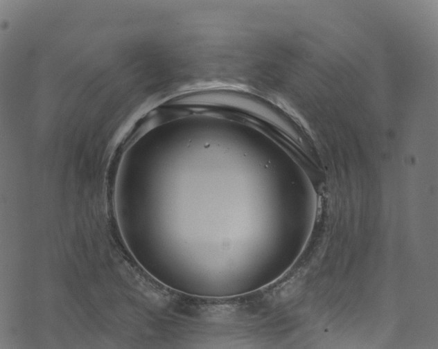 X0000070881173200606231335