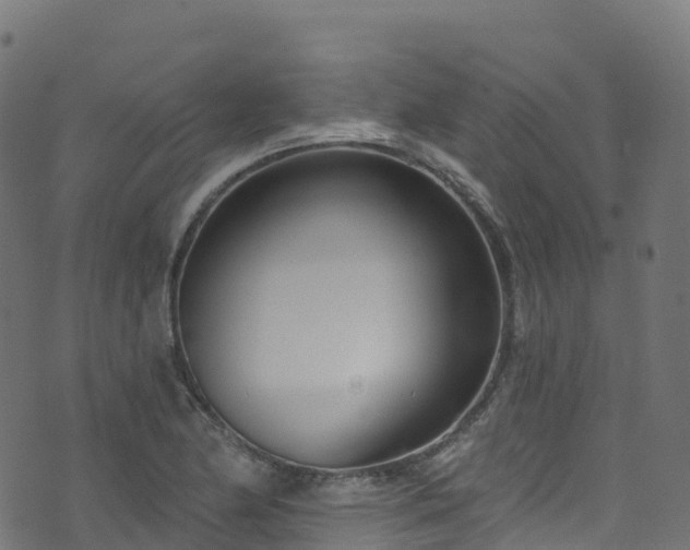 X0000070881174200606231335