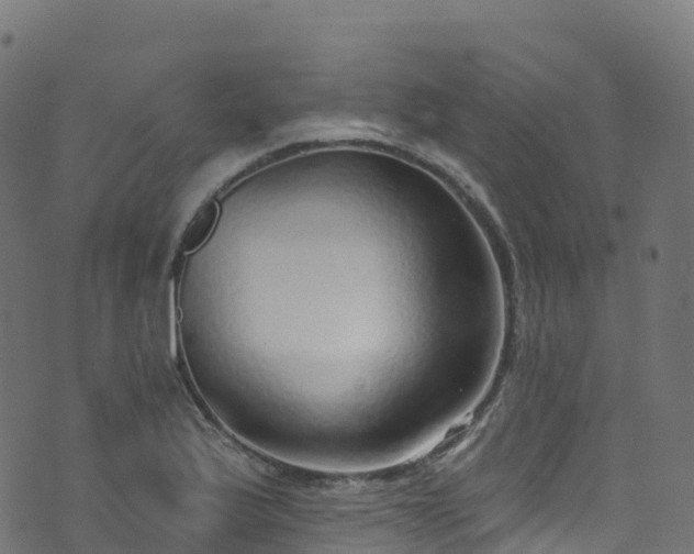 X0000070881175200606231335