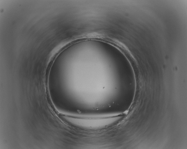 X0000070881176200606231335