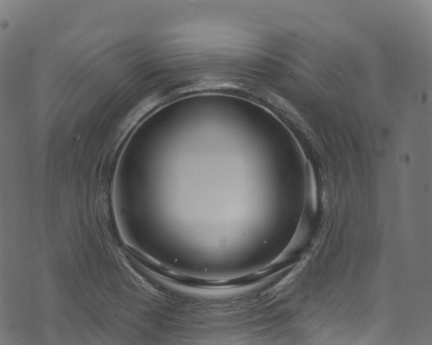 X0000070881177200606231335