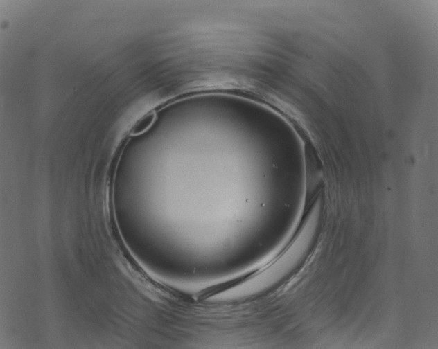 X0000070881179200606231335