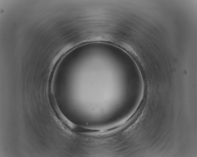 X0000070881181200606231335