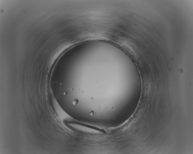 X0000070881182200606231335