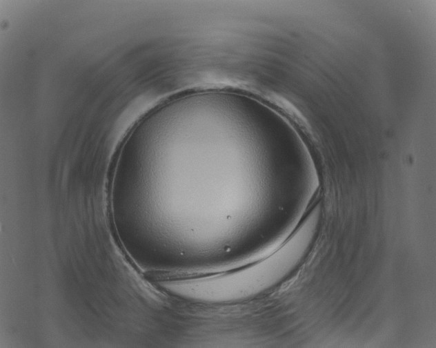 X0000070881183200606231335