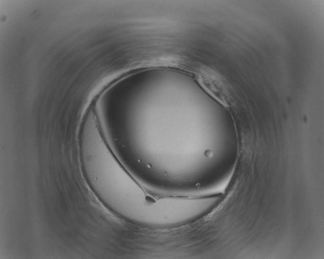 X0000070881184200606231335