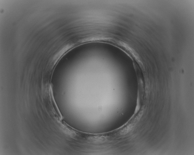 X0000070881185200606231335