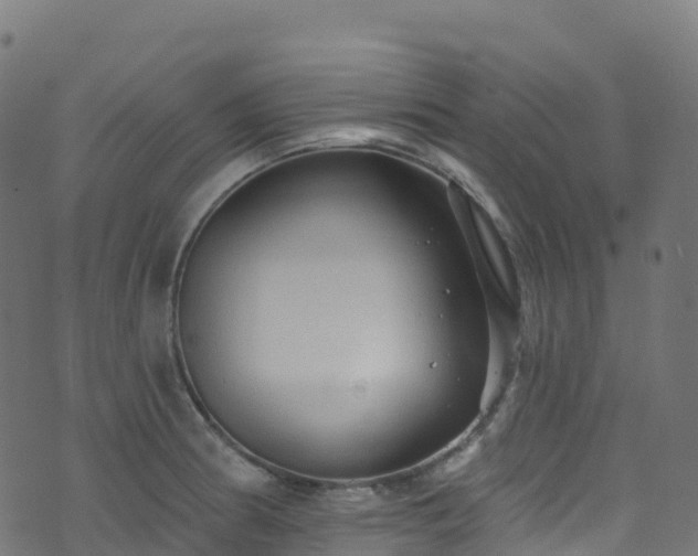 X0000070881186200606231335