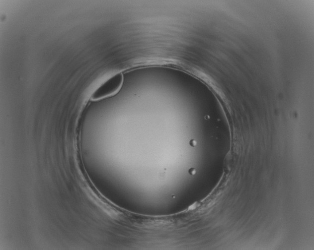 X0000070881187200606231335