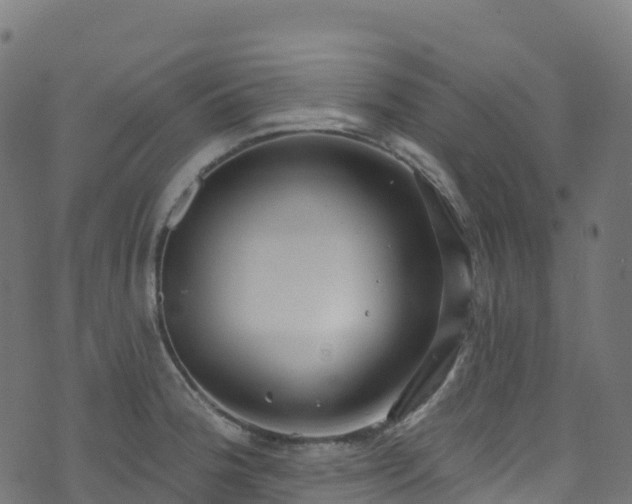 X0000070881188200606231335