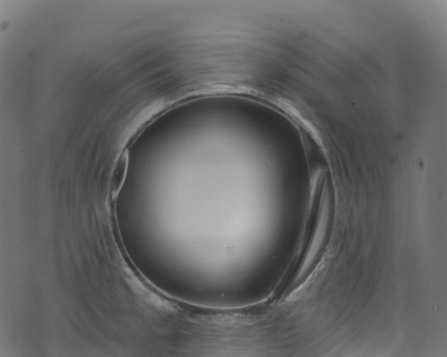 X0000070881189200606231335