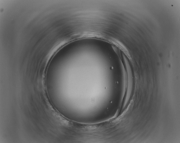 X0000070881190200606231335