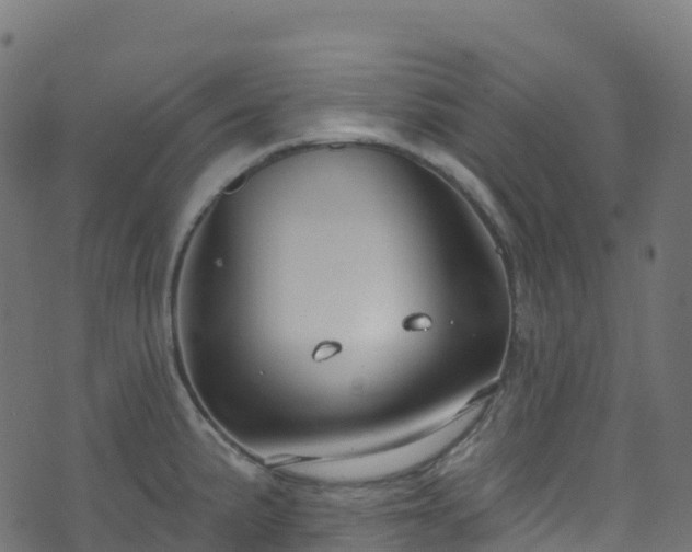 X0000070881191200606231335