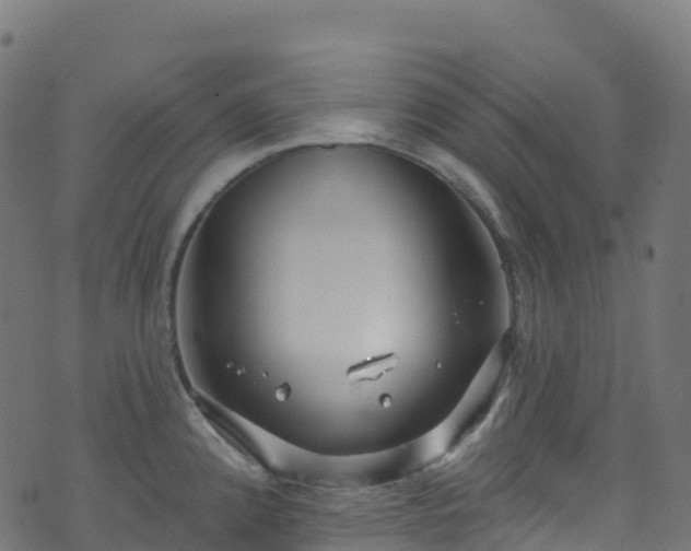 X0000070881192200606231335