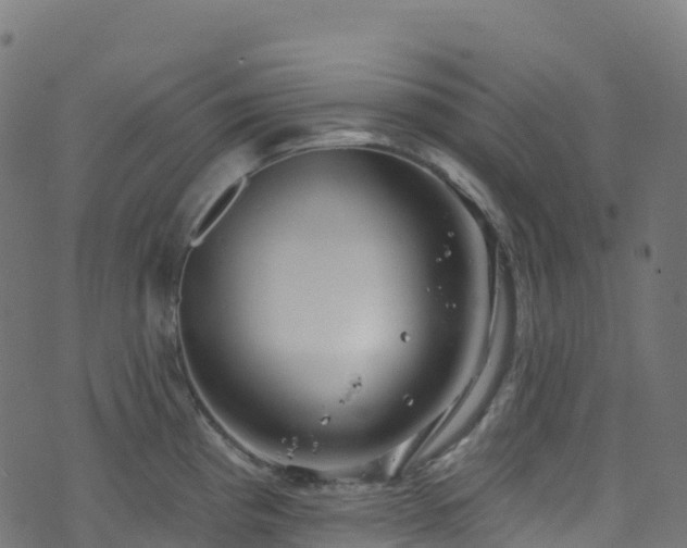 X0000070881193200606231335