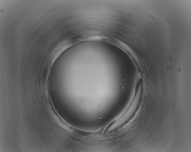 X0000070881194200606231335