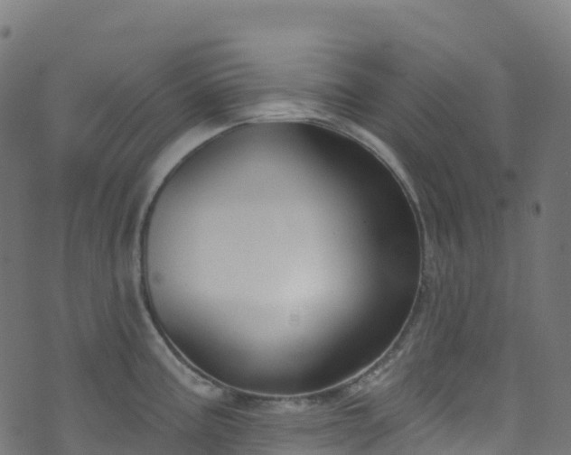 X0000070881195200606231335