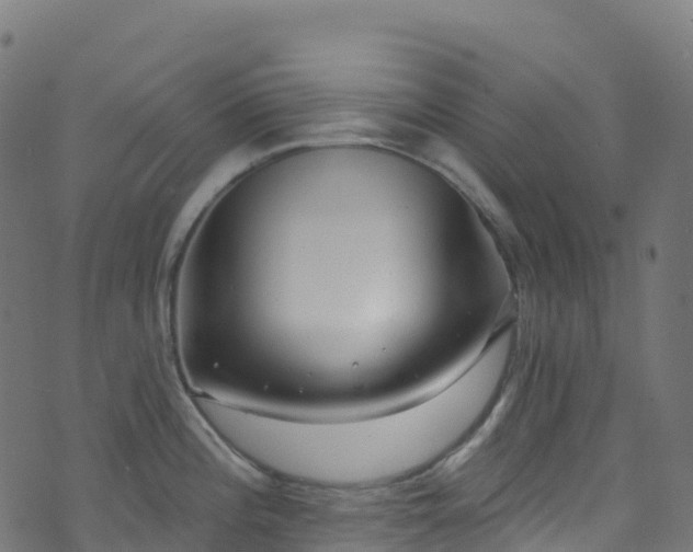 X0000070881196200606231335