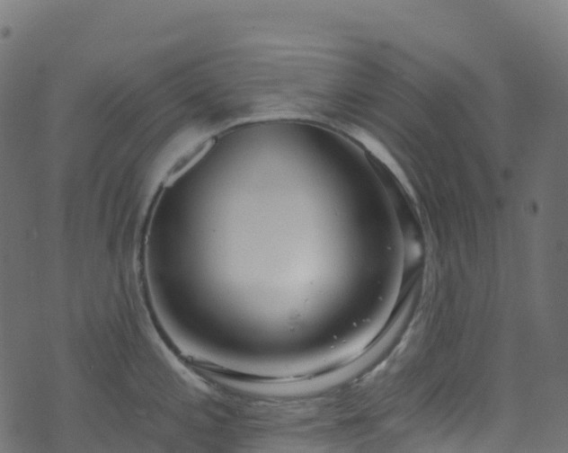 X0000070881197200606231335