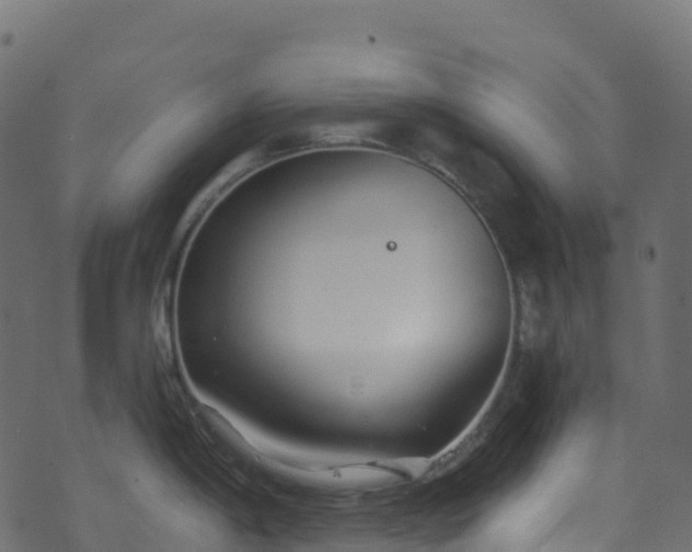 X0000070881198200606231335