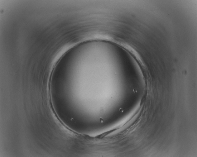 X0000070881199200606231335