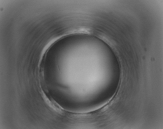 X0000070881200200606231335