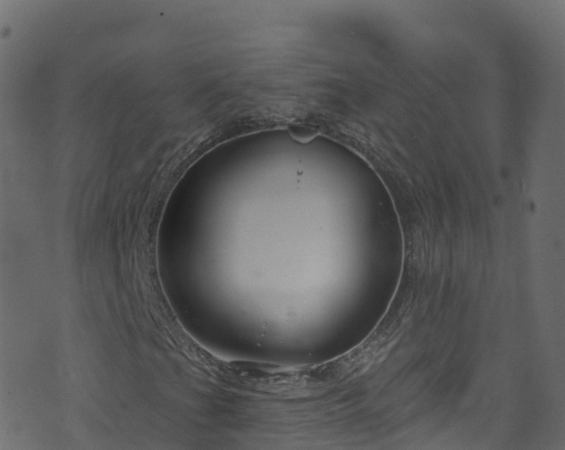 X0000070881201200606231334